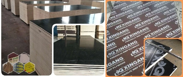 XG FFP Film Surface XG FFP Film Surface