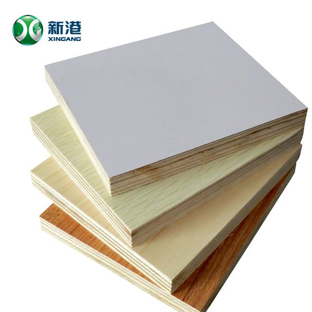 18mm Laminated Plywood With Melamine Paper
