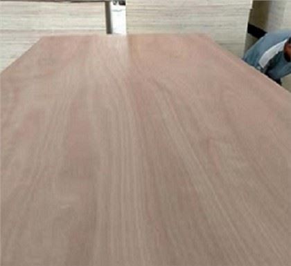 Door Skin Preglejka interiér dekorácie / renovácia