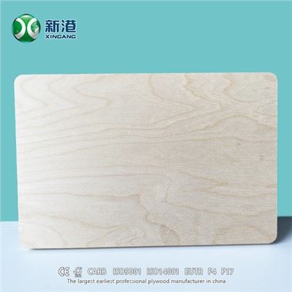 XINGANG Plná brezová preglejka 18mm