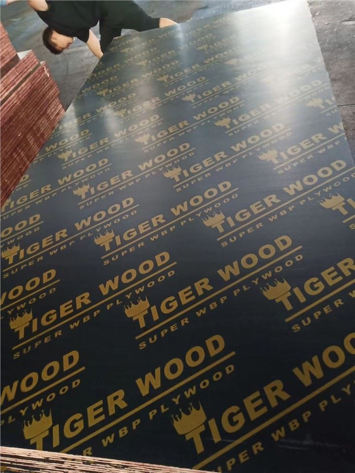 Triplay Film Faced Plywood
