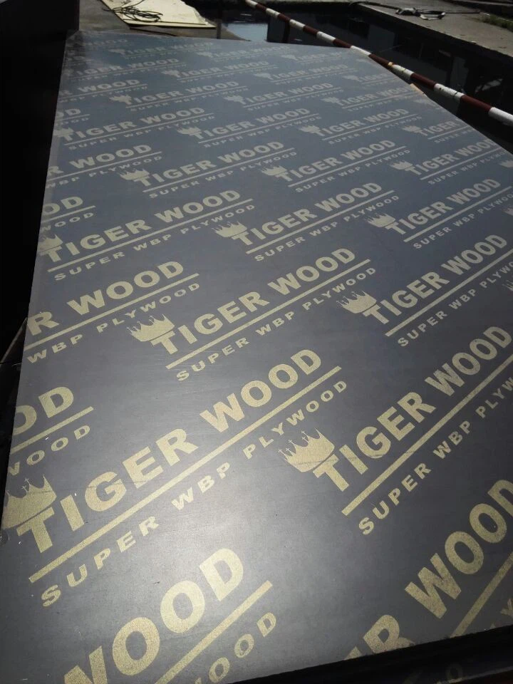 BROWN FILM FACED PLYWOOD COMBI CORE PHENOLIC GLUE BEST QUATLITY